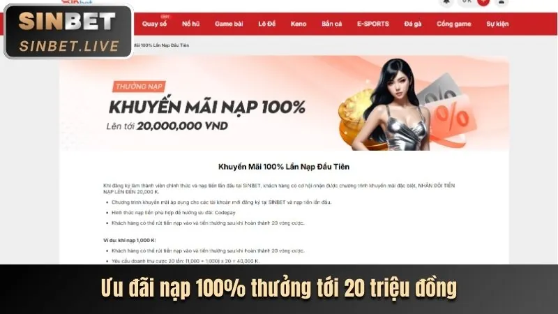 Hình ảnh các chương trình khuyến mãi và ưu đãi